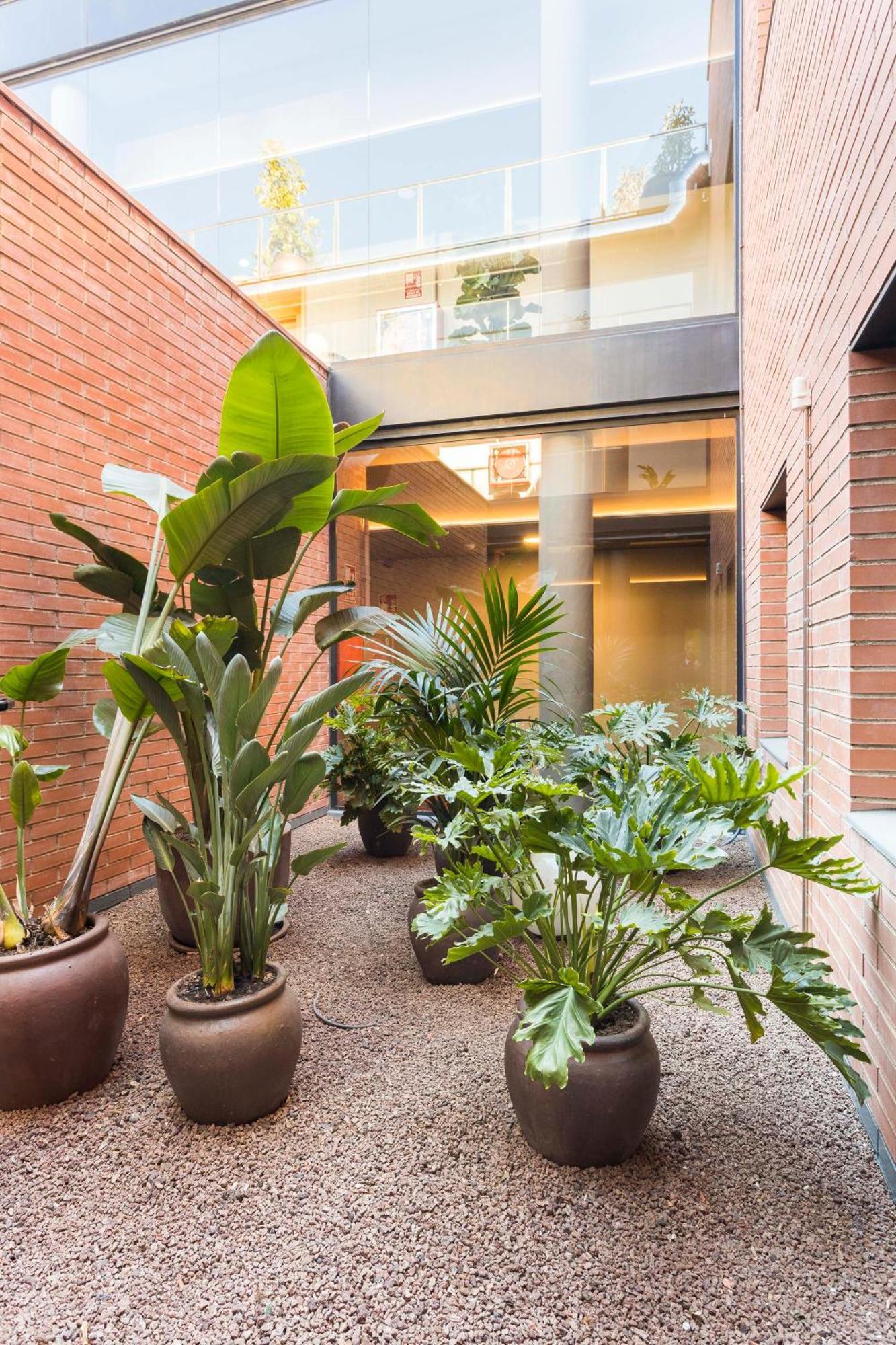 Hotel Terrassa Confort エクステリア 写真